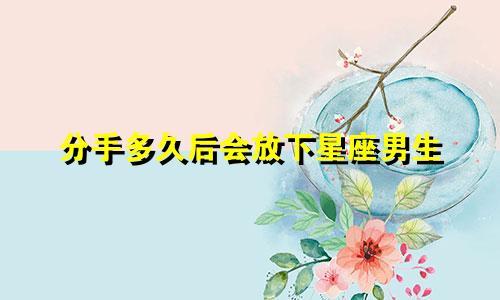 分手多久后会放下星座男生