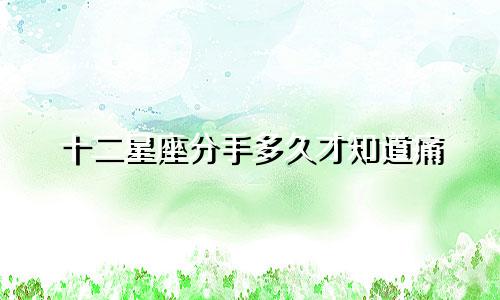 十二星座分手多久才知道痛