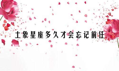 土象星座多久才会忘记前任