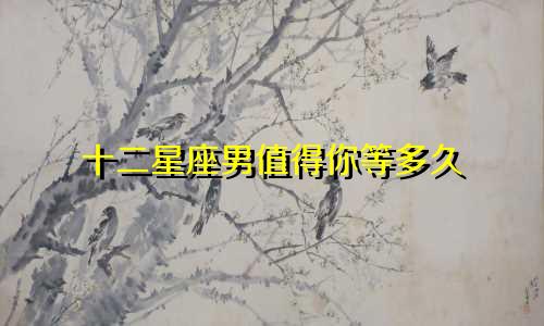 十二星座男值得你等多久
