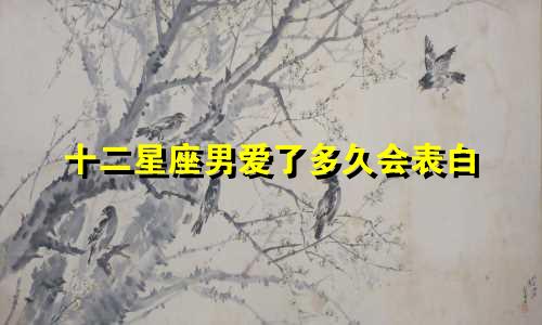 十二星座男爱了多久会表白