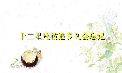 十二星座被追多久会忘记