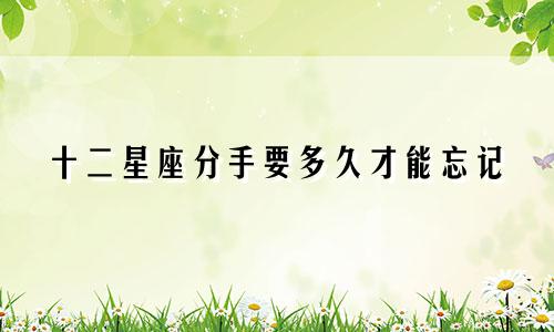 十二星座分手要多久才能忘记