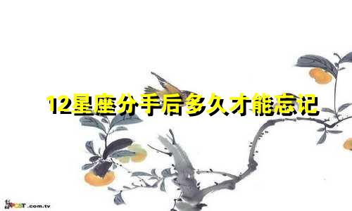 12星座分手后多久才能忘记