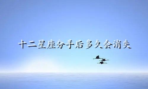 十二星座分手后多久会消失