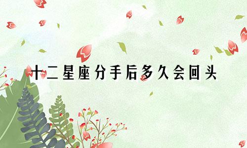 十二星座分手后多久会回头