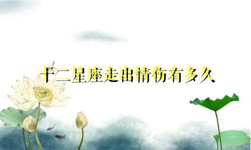 十二星座走出情伤有多久