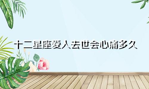 十二星座爱人去世会心痛多久