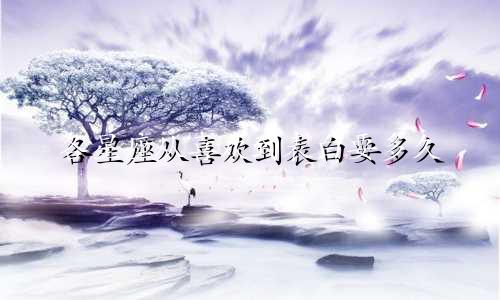 各星座从喜欢到表白要多久