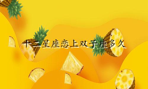 十二星座恋上双子座多久