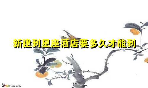 新建到星座酒店要多久才能到
