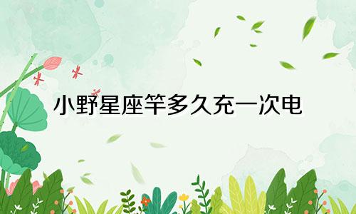 小野星座竿多久充一次电