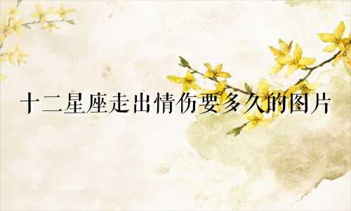 十二星座走出情伤要多久的图片
