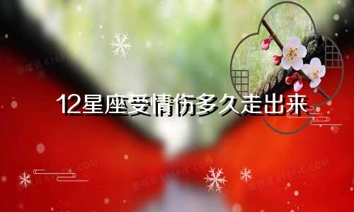 12星座受情伤多久走出来