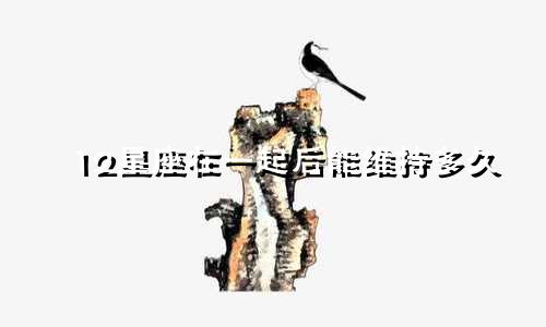 12星座在一起后能维持多久