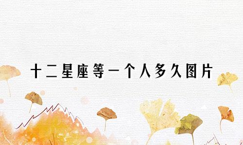 十二星座等一个人多久图片