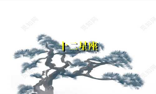 十二星座 会等一个人多久