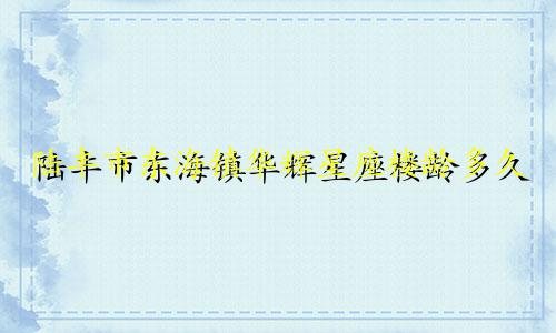 陆丰市东海镇华辉星座楼龄多久