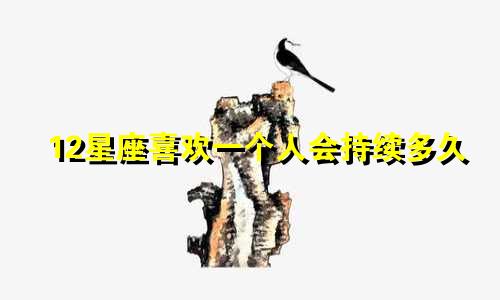 12星座喜欢一个人会持续多久