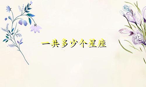 一共多少个星座