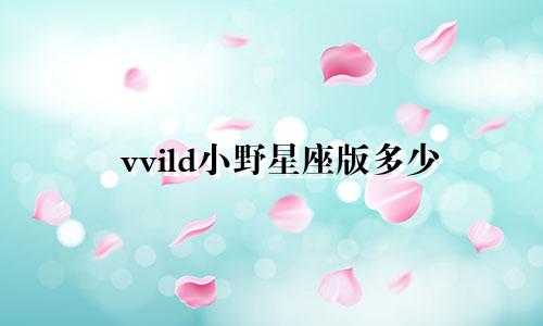 vvild小野星座版多少