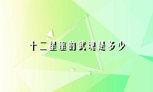 十二星座的武魂是多少