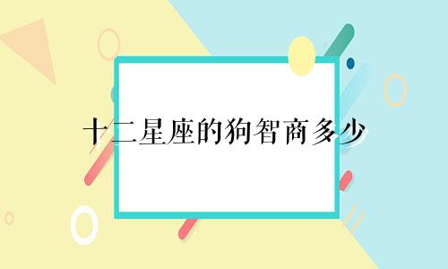 十二星座的狗智商多少