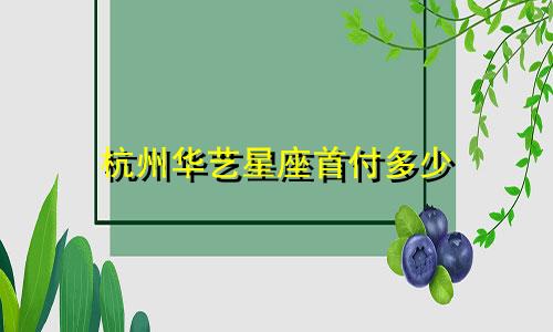 杭州华艺星座首付多少
