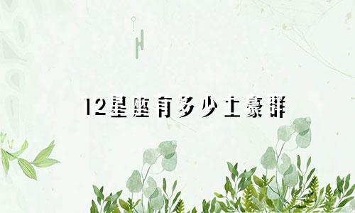12星座有多少土豪群