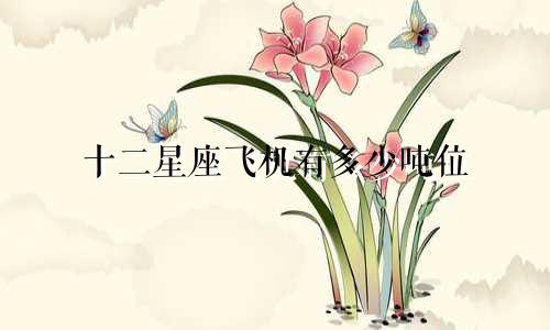 十二星座飞机有多少吨位