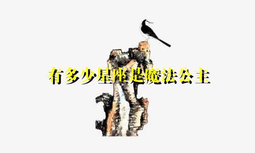 有多少星座是魔法公主