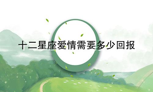 十二星座爱情需要多少回报