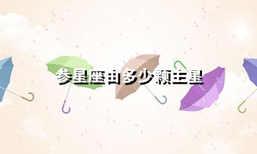 参星座由多少颗主星