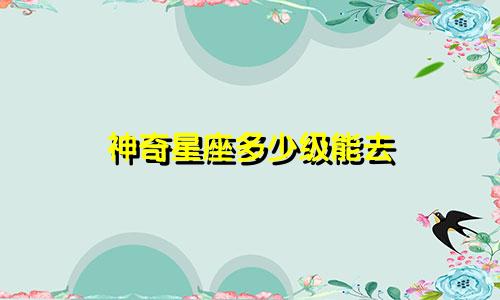 神奇星座多少级能去