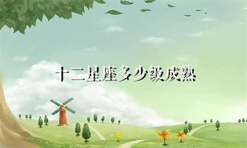 十二星座多少级成熟