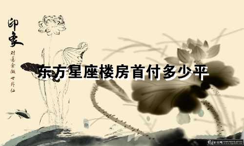 东方星座楼房首付多少平