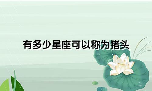 有多少星座可以称为猪头