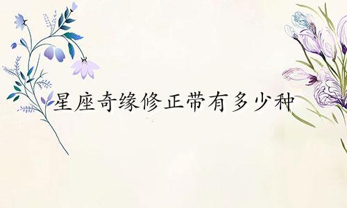 星座奇缘修正带有多少种