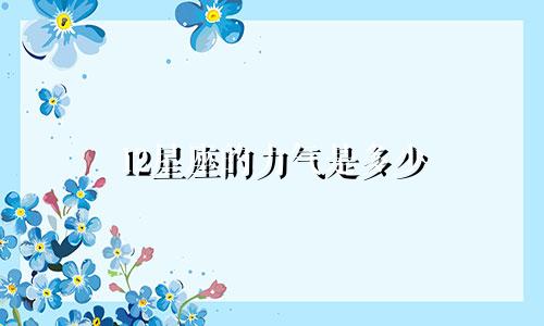 12星座的力气是多少