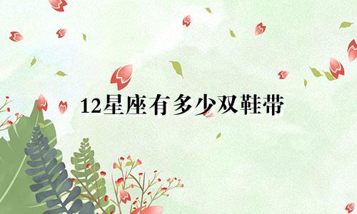 12星座有多少双鞋带