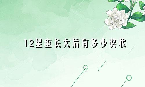12星座长大后有多少奖状