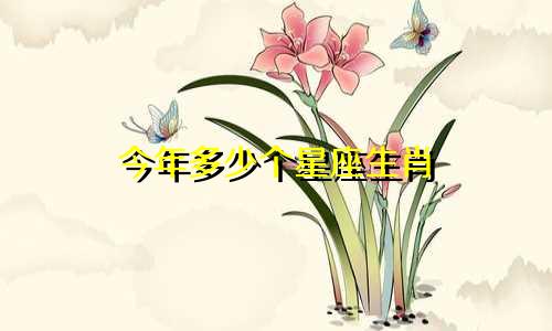 今年多少个星座生肖