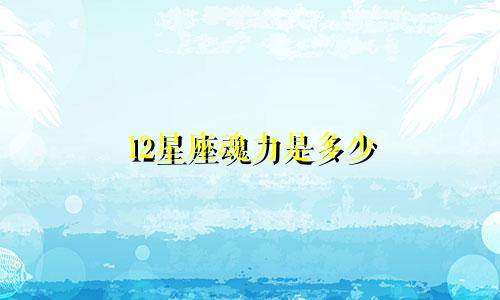 12星座魂力是多少