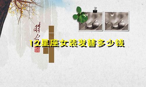 12星座女装发簪多少钱