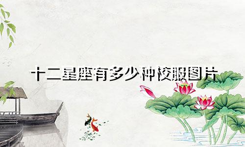 十二星座有多少种校服图片