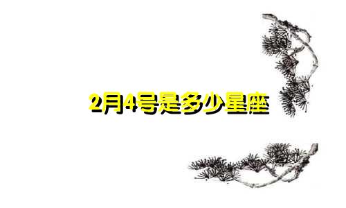 2月4号是多少星座