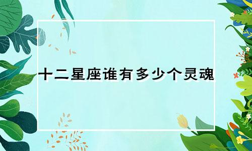 十二星座谁有多少个灵魂