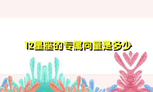 12星座的专属向量是多少