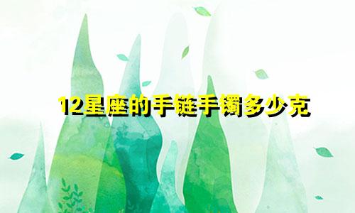 12星座的手链手镯多少克