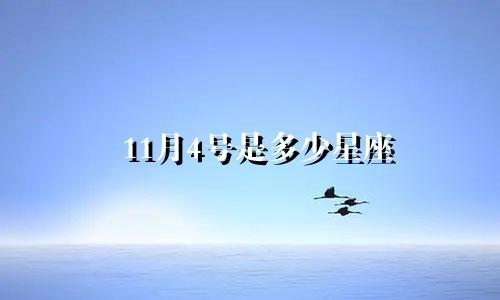 11月4号是多少星座